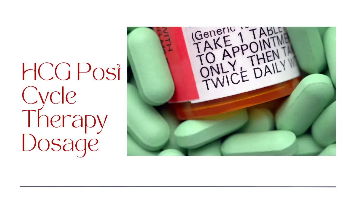 HCG Post Cycle Therapy Dosage