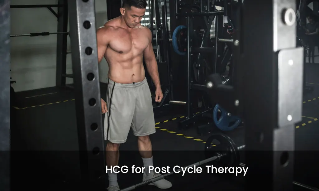 HCG for Post Cycle Therapy