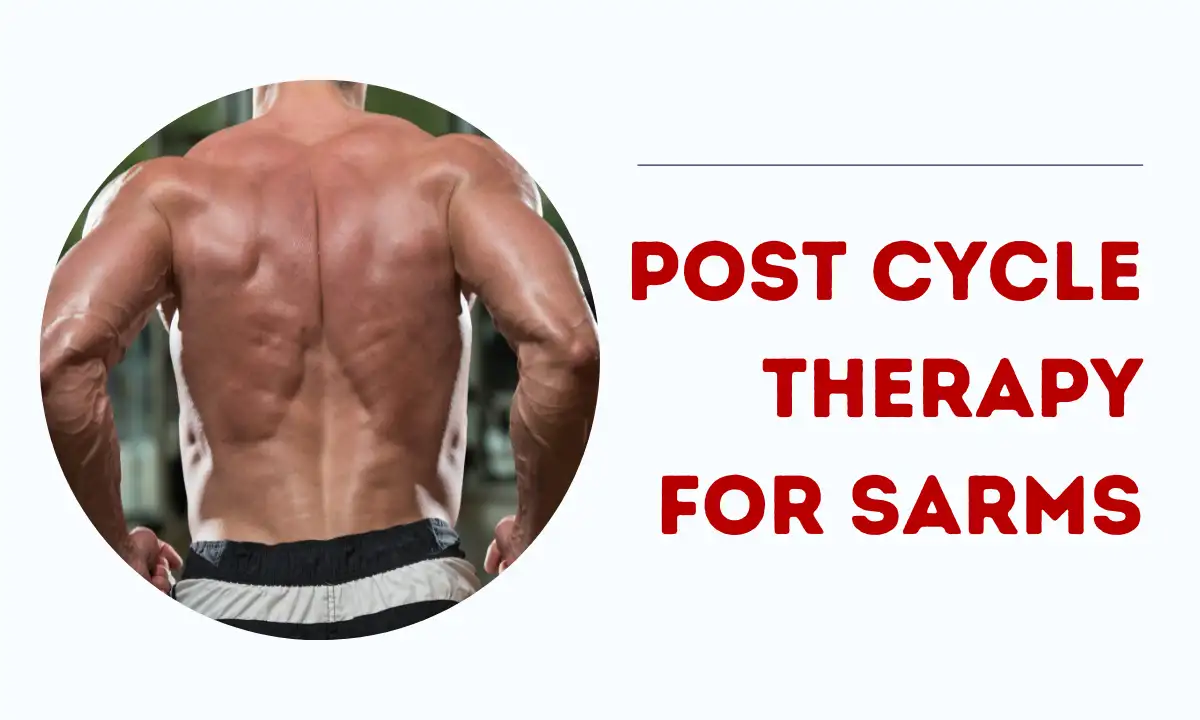 Post Cycle Therapy For SARMS