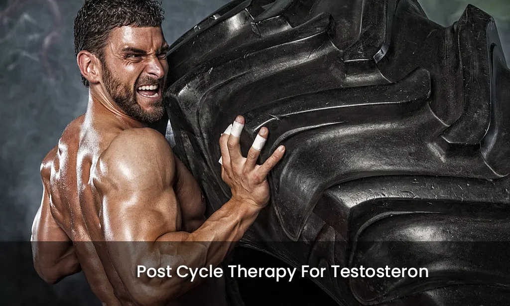 Post-Cycle-Therapy-For-TestosteronTestosteron